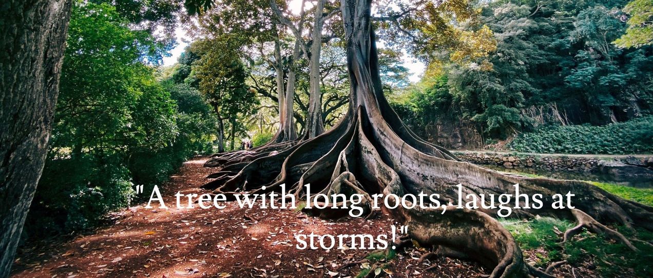 Deeply Rooted in the Past